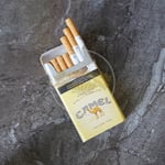 Camel Yellow 100's