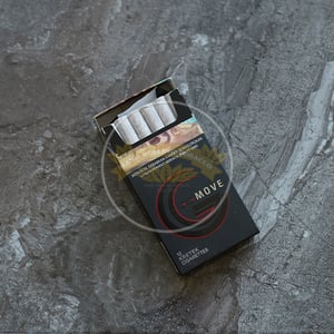 Gudang Garam Move