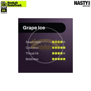 NASTY Hooqa DFR10Ki Grape Ice