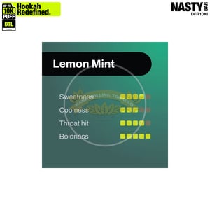 NASTY Hooqa DFR10Ki Shisha Lemon Mint