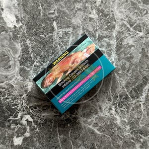 Terea Turquoise