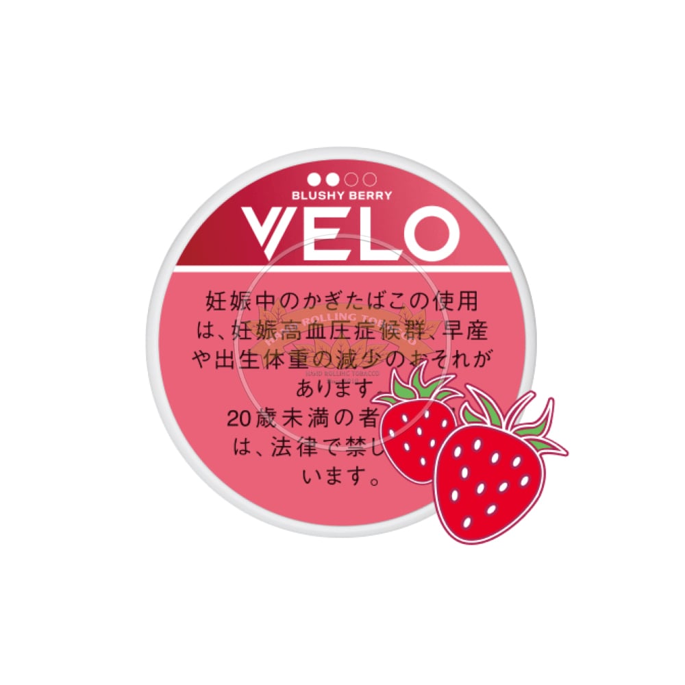 VELO Blushy Berry Very Intense 1 VELO Blushy Berry Very Intense