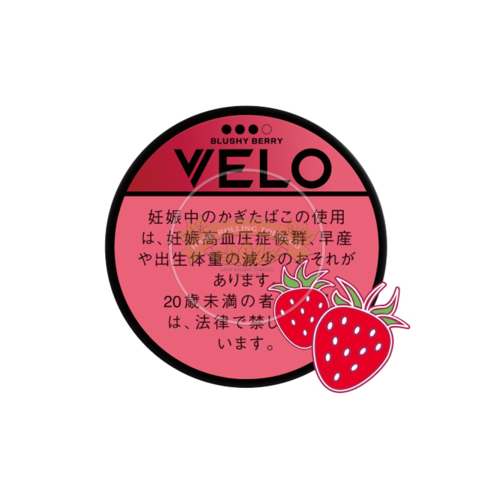 VELO Blushy Berry Very X Intense 1 VELO Blushy Berry Very X Intense