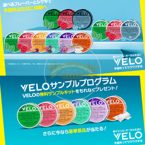 VELO Spiffy Spearmint X Intense