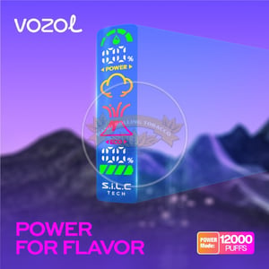 Vozol Gear Power 20000 Lychee Rybena