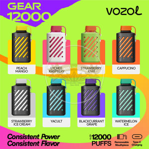 Vozol Gear 12000 Strawberry Kiwi