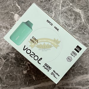 Vozol Star 6000 Cool Mint