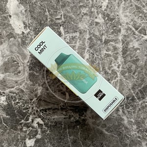 Vozol Star 6000 Cool Mint