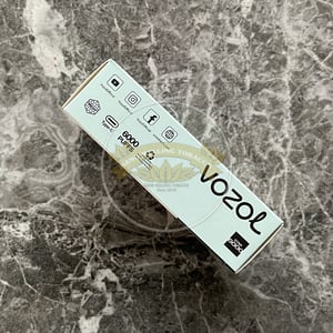 Vozol Star 6000 Cool Mint