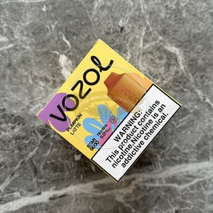 Vozol Star 6000 Pumpkin Latte